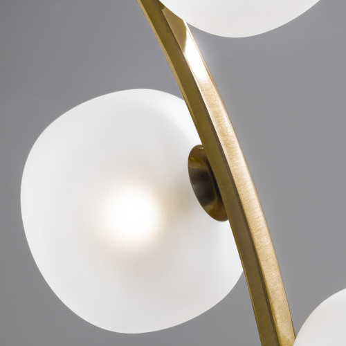 Настольный светильник Freya FR5444TL-03BS фото 4